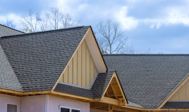 Best Roof Insulation Installation  in Landis, NC