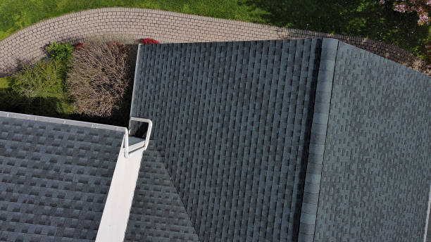 Best Roof Moss and Algae Removal  in Landis, NC